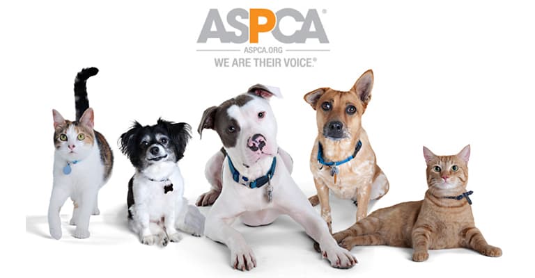 best sound & light solutions